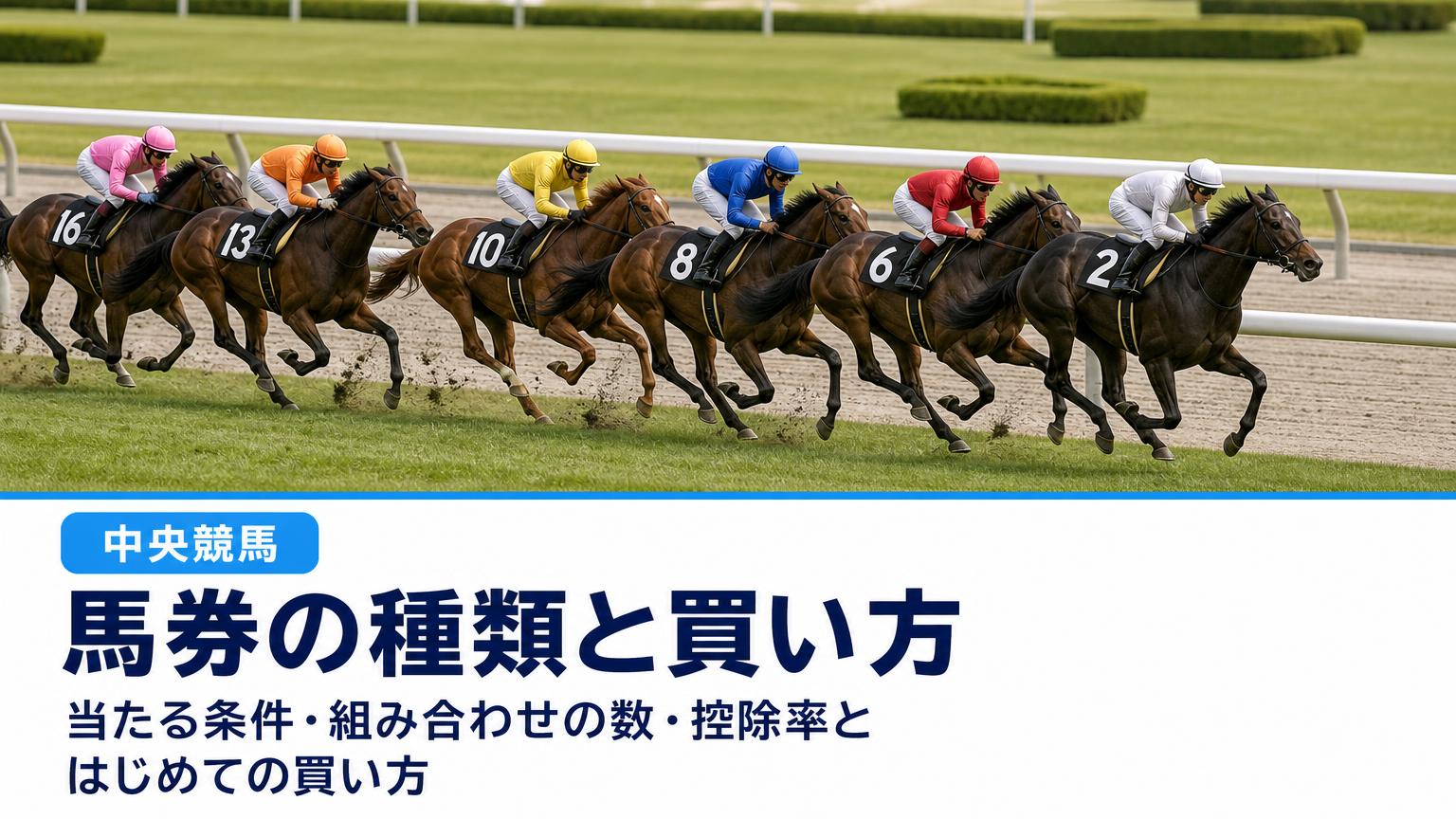 記事タイトル「馬券の種類と買い方｜当たる条件・組み合わせの数・控除率と、はじめての買い方（中央競馬）」の文字と、晴れた秋の中央競馬の芝コースで内ラチ沿いを一団になって駆ける競走馬たちの画像