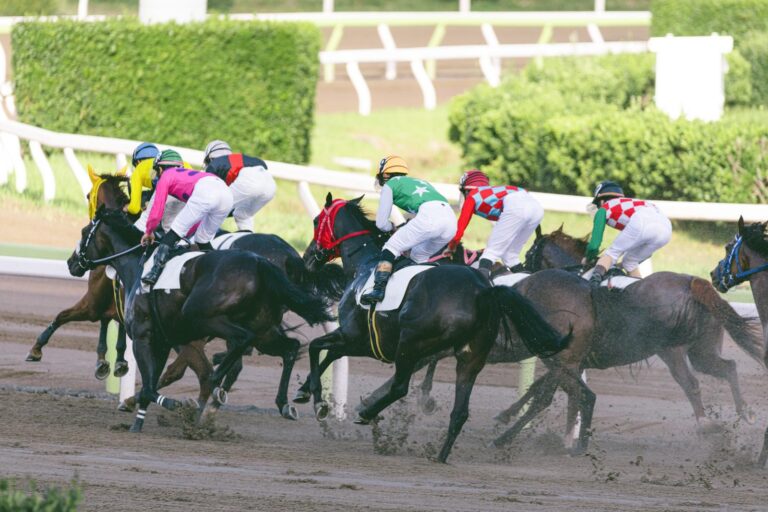競馬は斤量が勝敗を左右する?斤量の決め方やレースへの影響を徹底解説!|競馬AIナビ