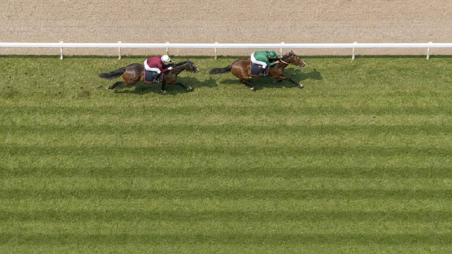 中央競馬の芝コースで、内ラチ沿いを1馬身ほどの差で続く2頭の競走馬を高い位置から見下ろした画像