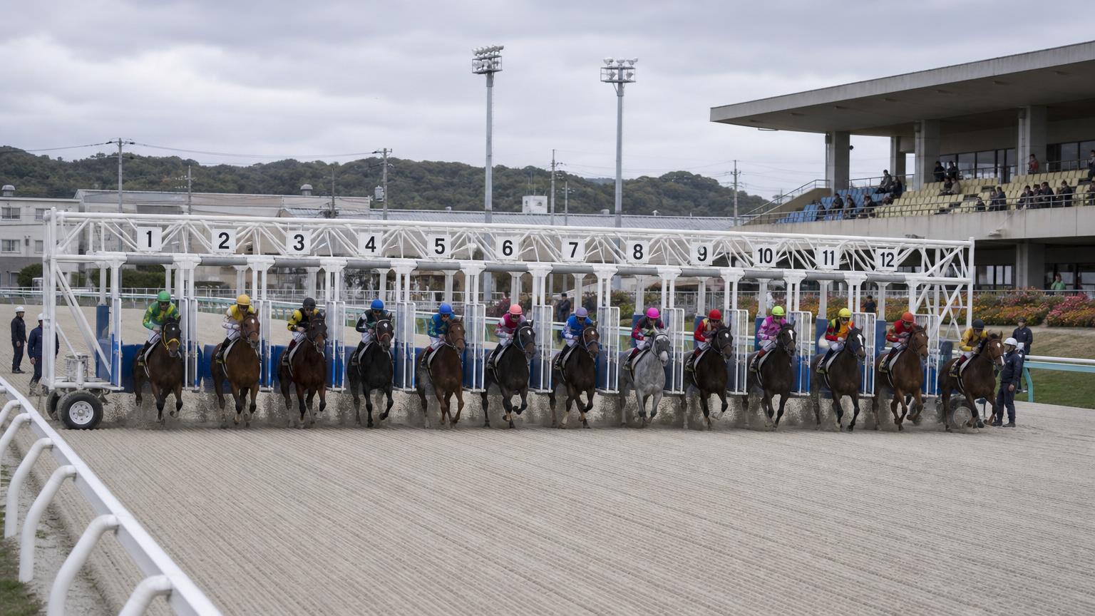 地方競馬のダートコースで、競走馬の一団がスタートゲートから一斉に飛び出す瞬間。内枠から外枠まで横一線に並んでいる