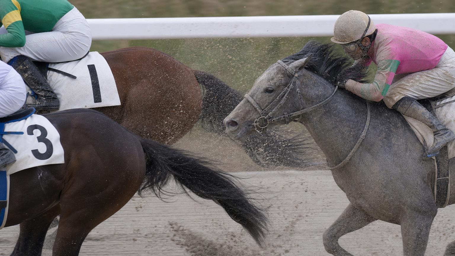 内ラチ沿いを走る競走馬を先行馬のすぐ後ろから捉えた場面。前を行く馬たちが蹴り上げた砂を、後続の馬と騎手が顔から浴びている