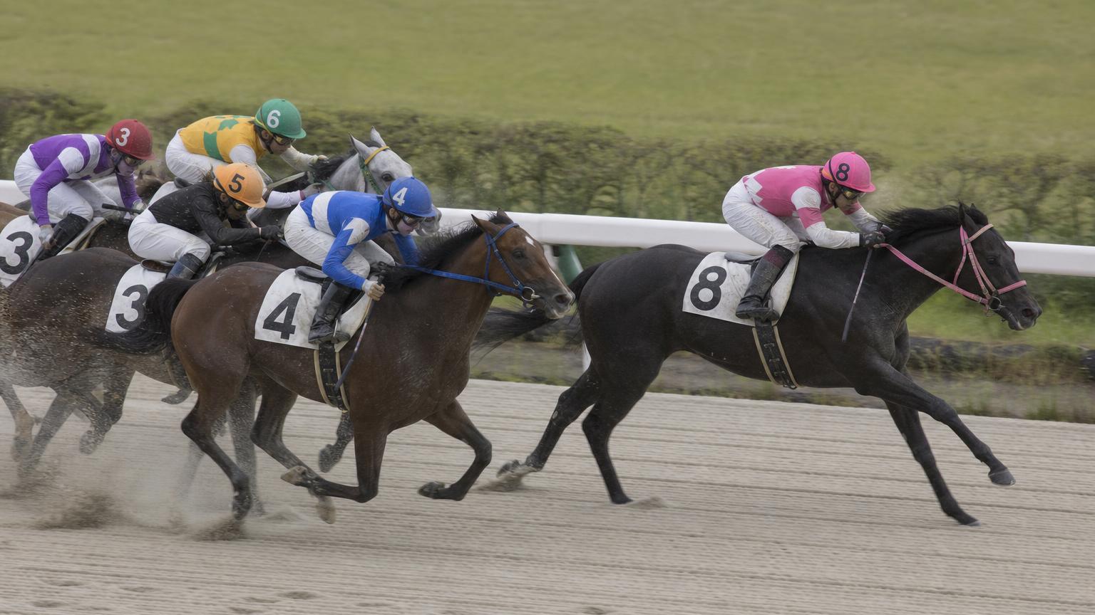 地方競馬のダートコースのゴール前。内ラチ沿いを走る先頭の1頭が、密集した後続を1馬身半離して抜け出している