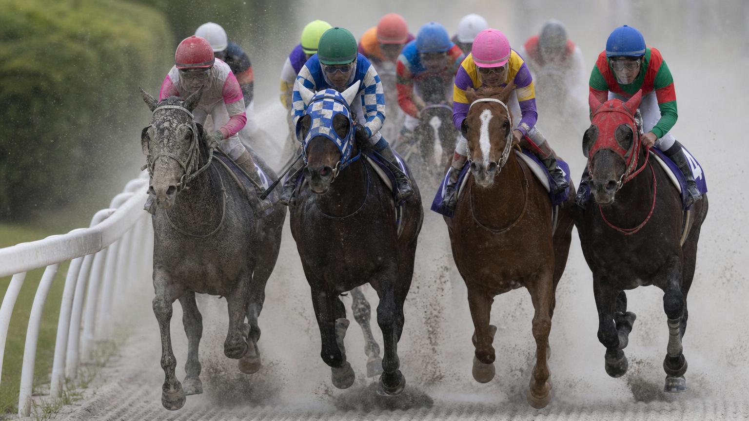 地方競馬のダートコースを正面から捉えた馬群。前を行く馬たちが蹴り上げた砂が胸の高さに帯状に漂い、内側の馬ほどその中に霞んでいる