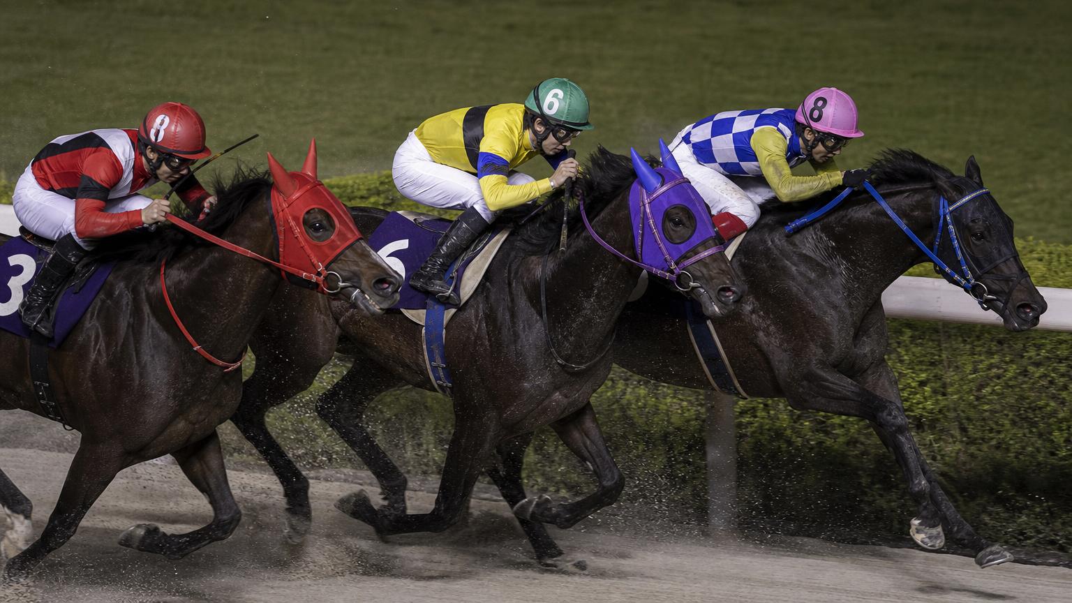 大井競馬場をイメージした砂のコースのゴール前。内ラチ沿いの3頭がわずかな差で競り合い、それぞれの騎手が追っている