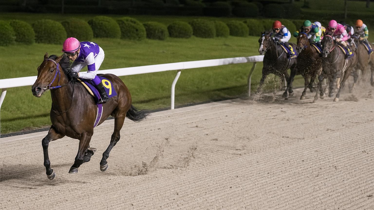 大井競馬場をイメージした砂のコースで、内ラチ沿いを単騎で先頭を走る競走馬と騎手。後続の一団は数馬身うしろに固まっている