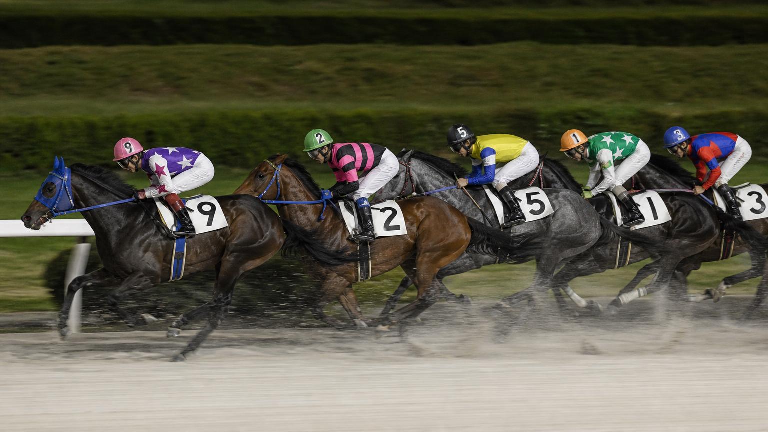 大井競馬場をイメージした砂のコース。内ラチ沿いに一列で連なる競走馬の一団が、砂を巻き上げながら走っている