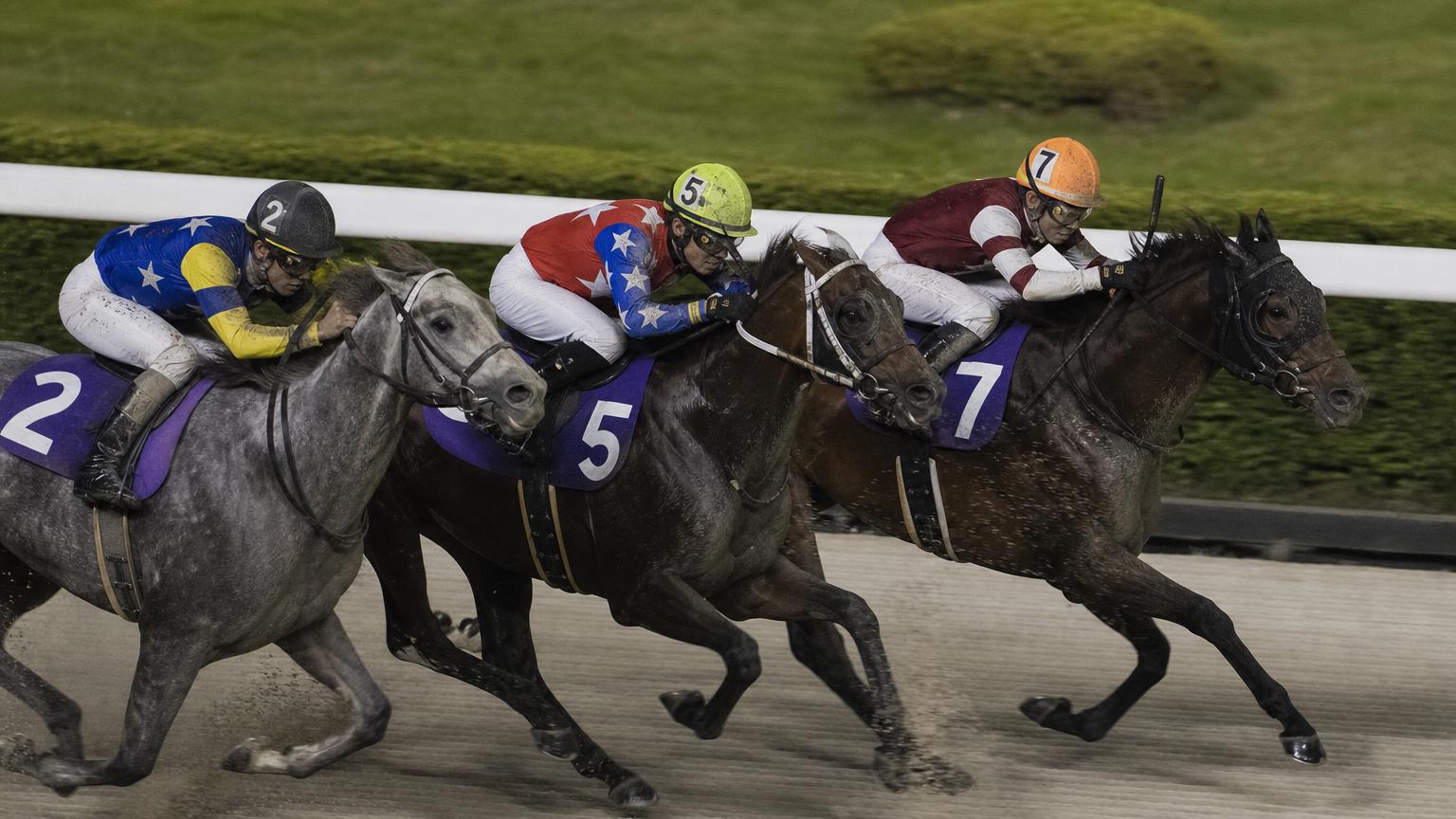 川崎競馬場をイメージした砂のコースのゴール前。内ラチ沿いの3頭がわずかな差で競り合い、それぞれの騎手が追っている