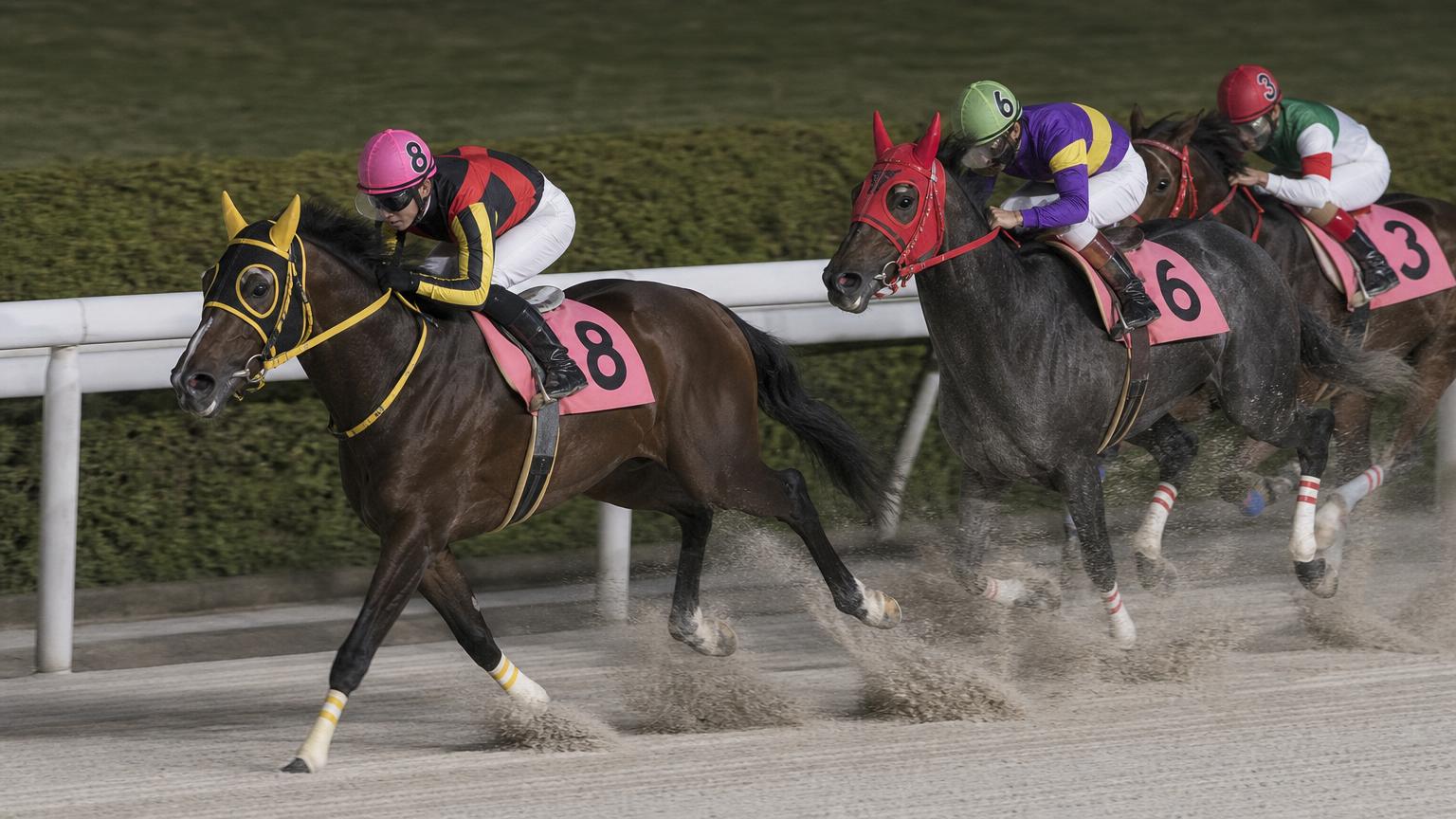 川崎競馬場をイメージした砂のコースで、内ラチにぴたりと寄せた先頭馬と騎手がコーナーを回っている。後続もラチ沿いに縦に連なる