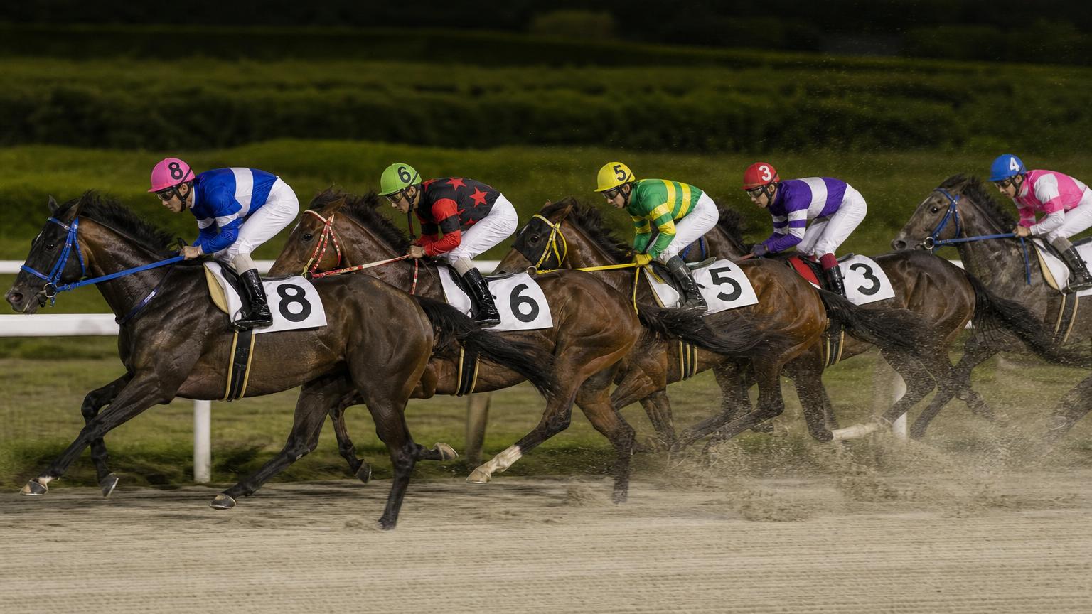 川崎競馬場をイメージした砂のコース。内ラチ沿いに一列で連なる競走馬の一団が、砂を巻き上げながら走っている