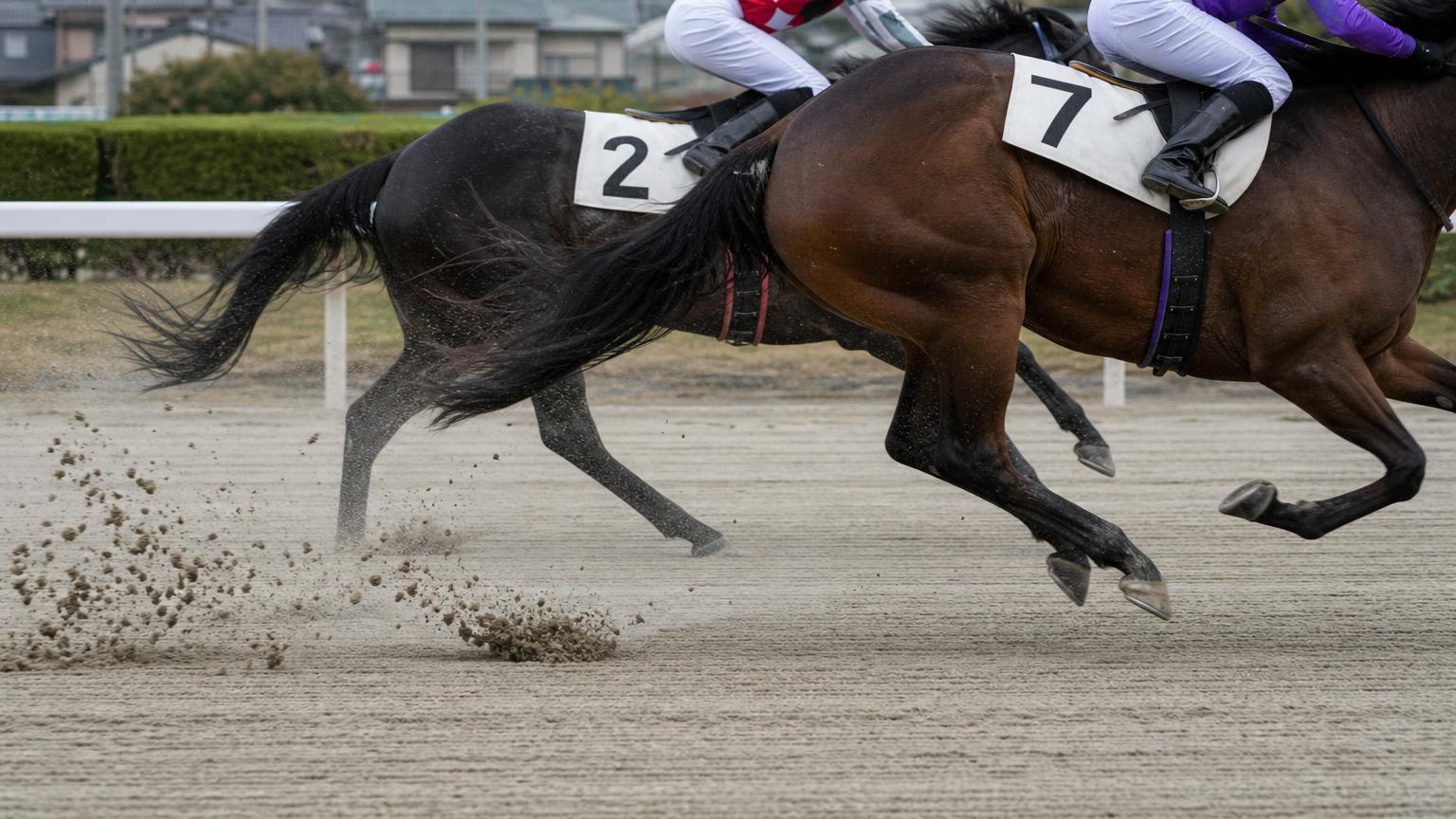地方競馬のダートコースを走る競走馬の胴から下。蹄が砂を掻き、塊になった砂が後方へ弧を描いて飛んでいる