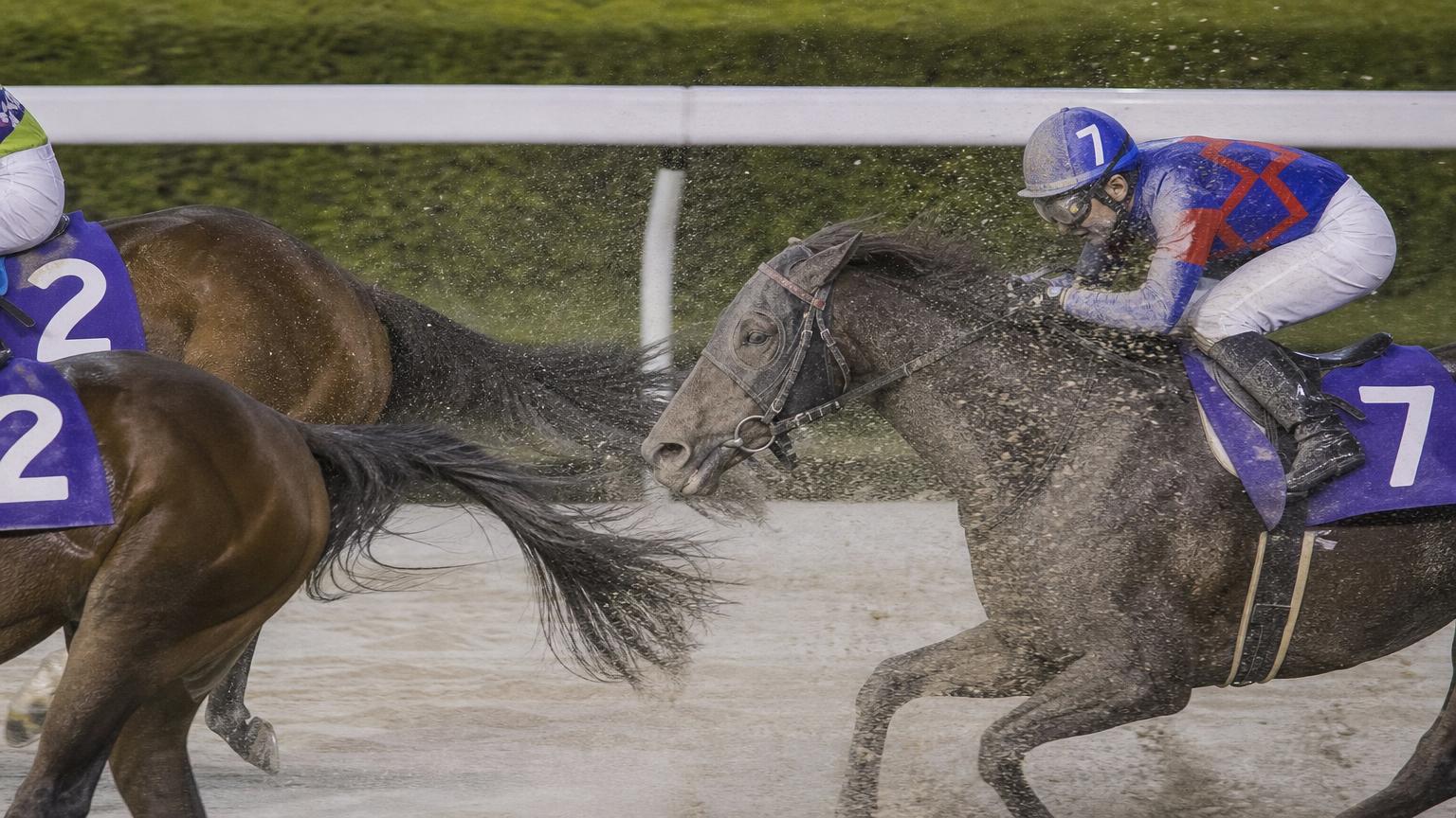 船橋競馬場をイメージした砂のコースで、内ラチ沿いを走る最内の馬と騎手が、前を行く馬たちの蹴り上げた砂を顔から浴びている