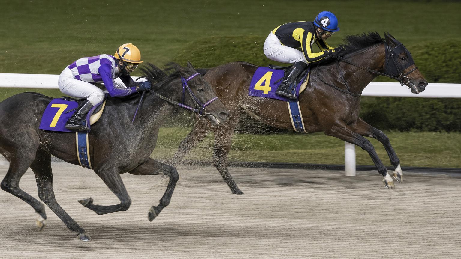 船橋競馬場をイメージした砂のコースで、内ラチ沿いを逃げる先頭馬に、砂を浴びながら後続の1頭が迫っている