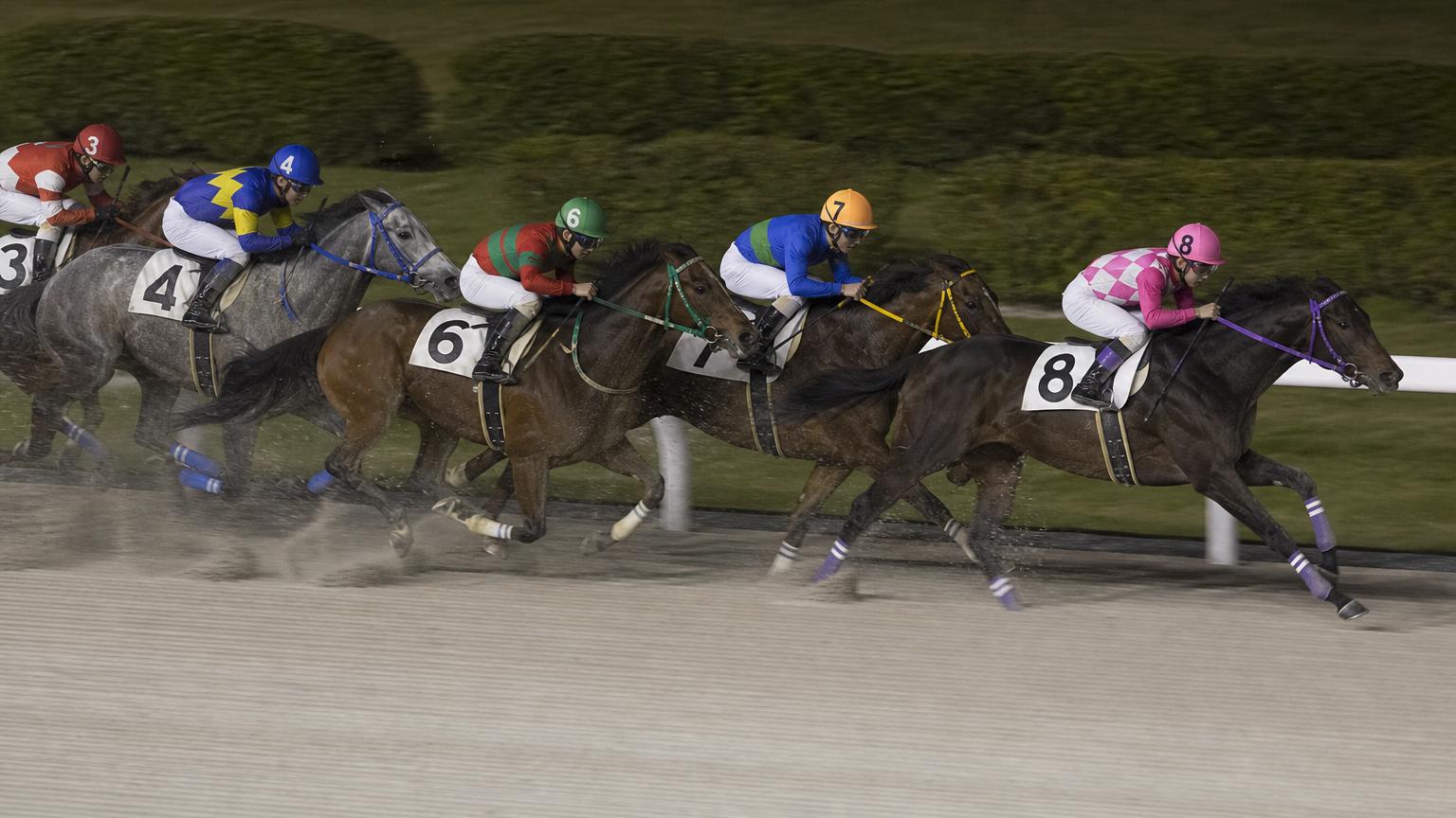 船橋競馬場をイメージした砂のコース。内ラチ沿いに一列で連なる競走馬の一団が、砂を巻き上げながら走っている