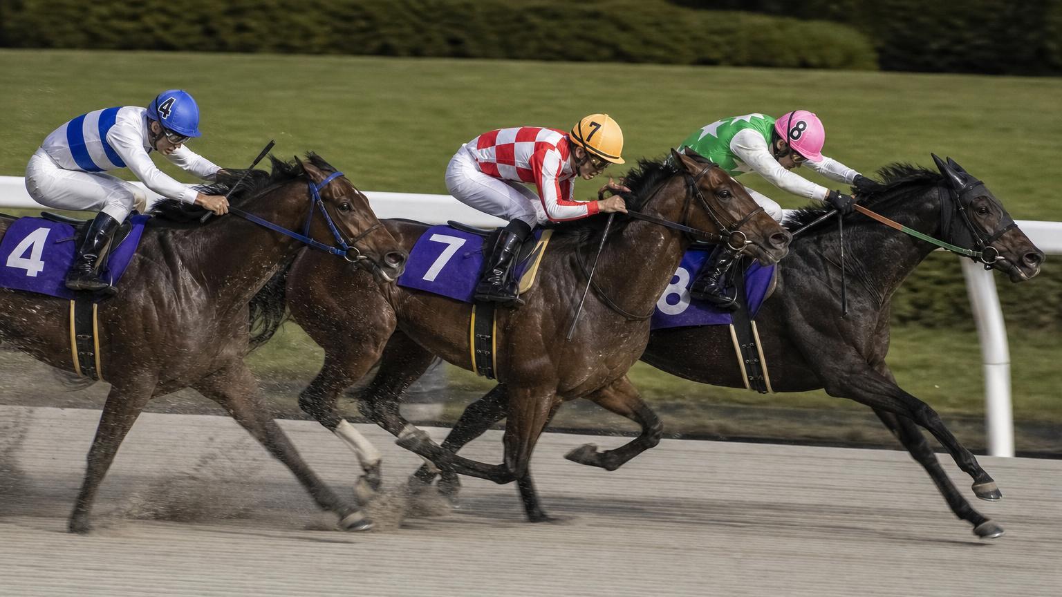 浦和競馬場をイメージした砂のコースのゴール前。内ラチ沿いの3頭がわずかな差で競り合い、それぞれの騎手が追っている