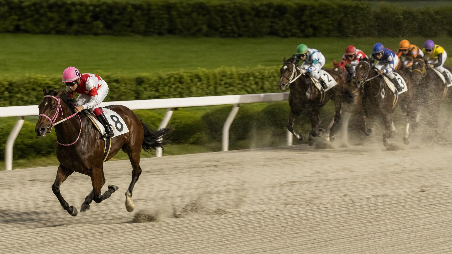 浦和競馬場をイメージした砂のコースで、内ラチ沿いを単騎で先頭を走る競走馬と騎手。後続の一団は数馬身うしろに固まっている