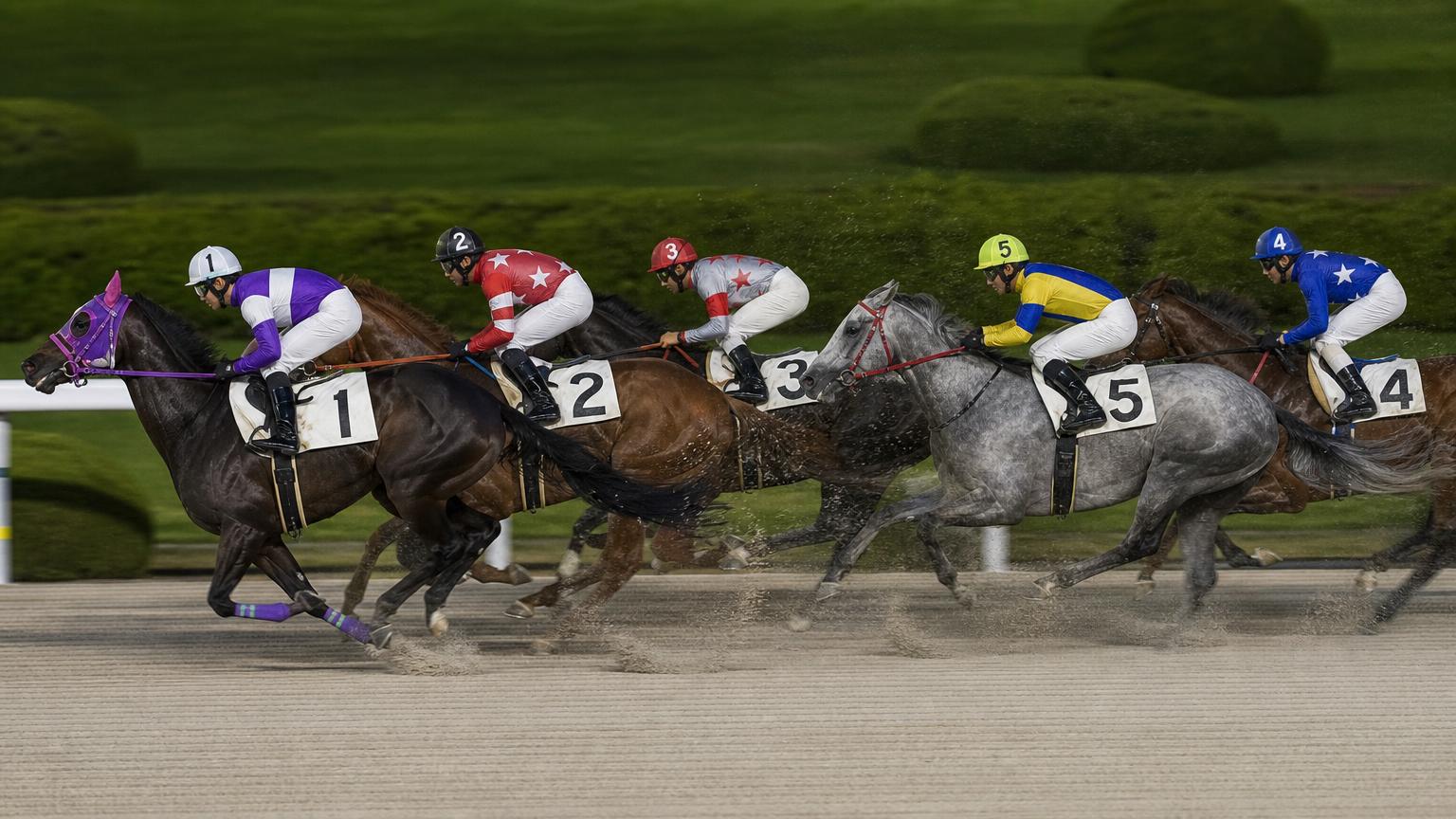 浦和競馬場をイメージした砂のコース。内ラチ沿いに一列で連なる競走馬の一団が、砂を巻き上げながら走っている