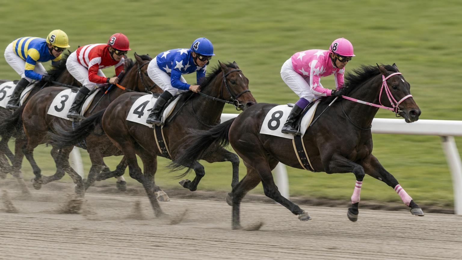 地方競馬のダートコースで、内ラチ沿いを走る1頭が後続を離して抜け出し、そのまま押し切ろうとしている