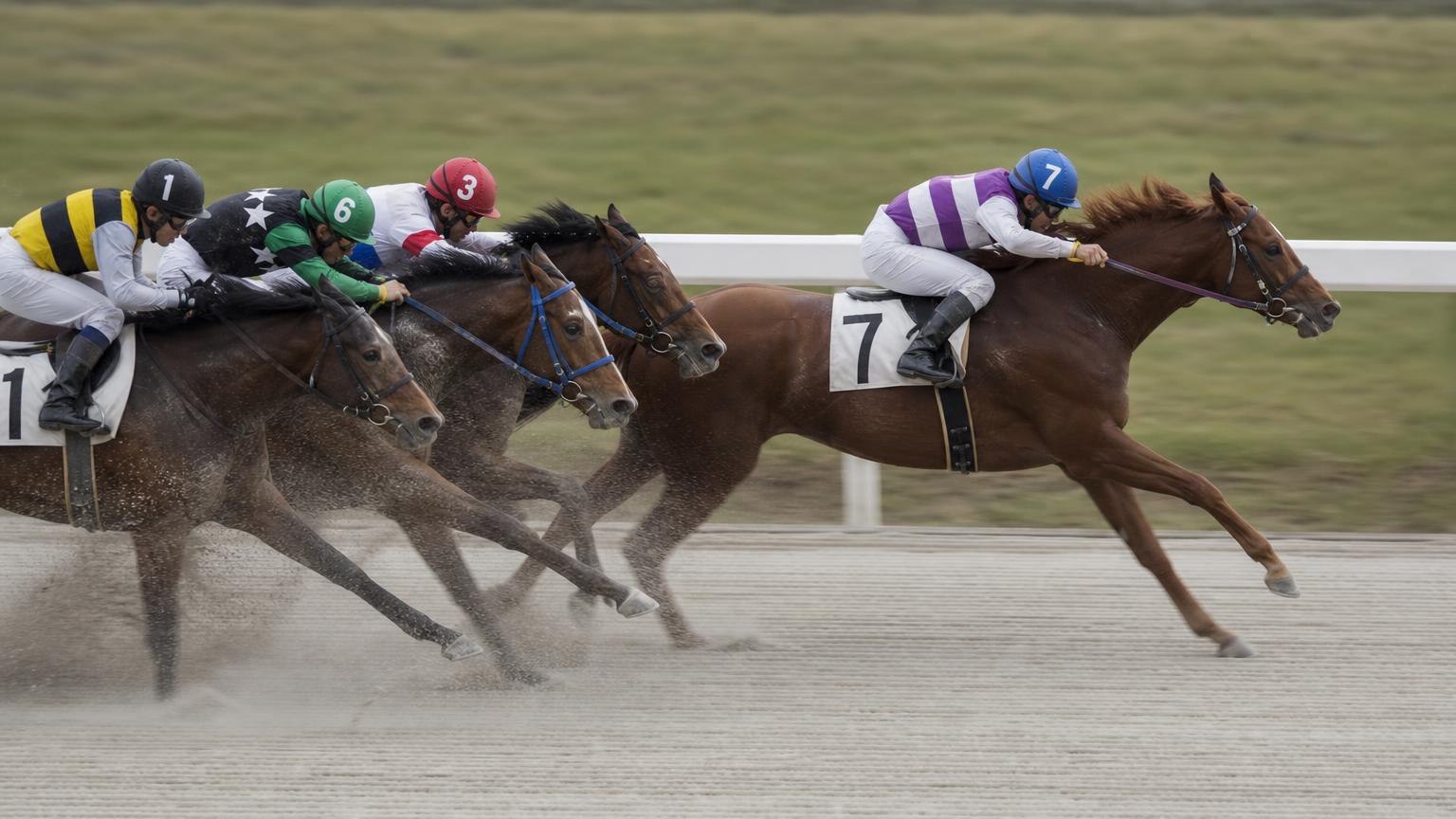 園田競馬場をイメージした砂のコースのゴール前。内ラチ沿いを走る先頭の1頭が後続を離して抜け出している