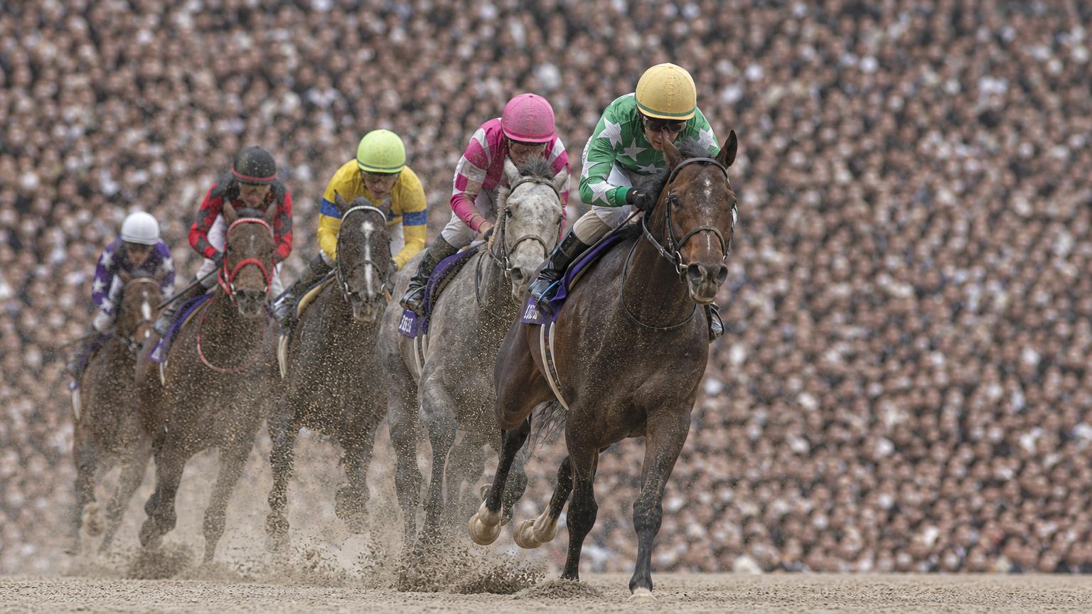 満員の大観衆を背に、中央競馬のダートコースを追い比べる競走馬と騎手たち。砂を蹴立てて一頭が抜け出そうとしている