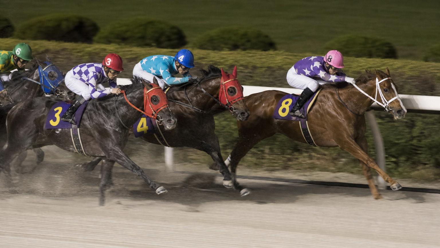 高知競馬場をイメージした砂のコースのゴール前。内ラチ沿いを走る先頭の1頭が後続を離して抜け出している