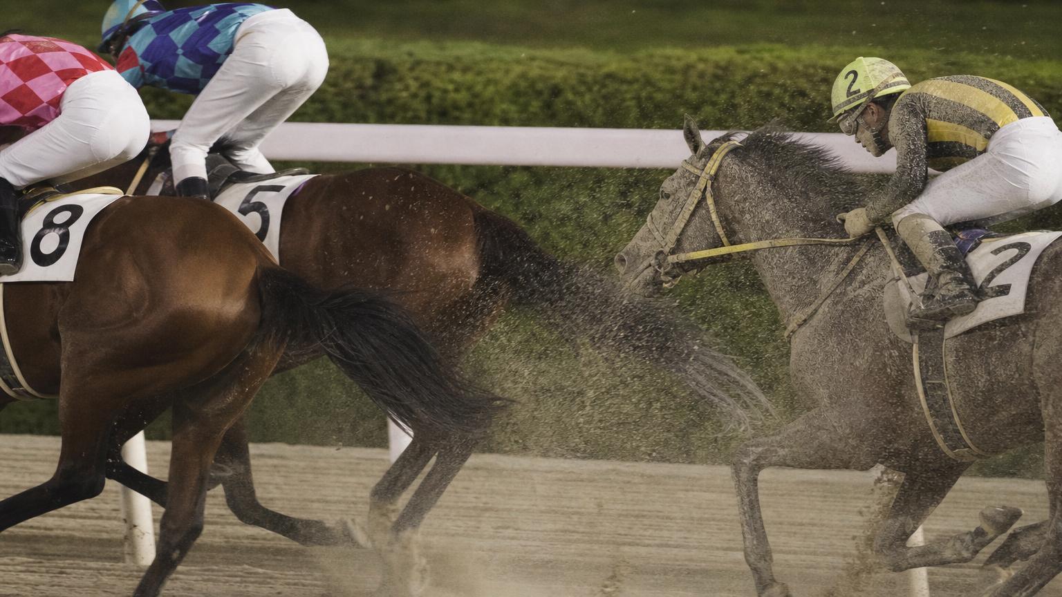 高知競馬場をイメージした砂のコースで、内ラチ沿いを走る最内の馬と騎手が、前を行く馬たちの蹴り上げた砂を顔から浴びている
