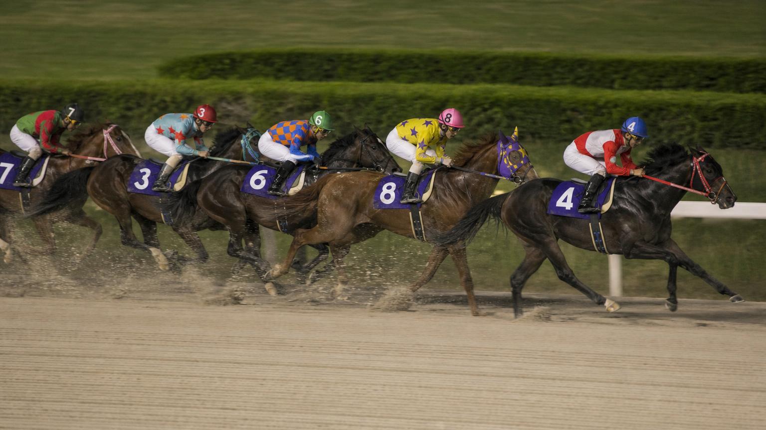高知競馬場をイメージした砂のコース。内ラチ沿いに一列で連なる競走馬の一団が、砂を巻き上げながら走っている