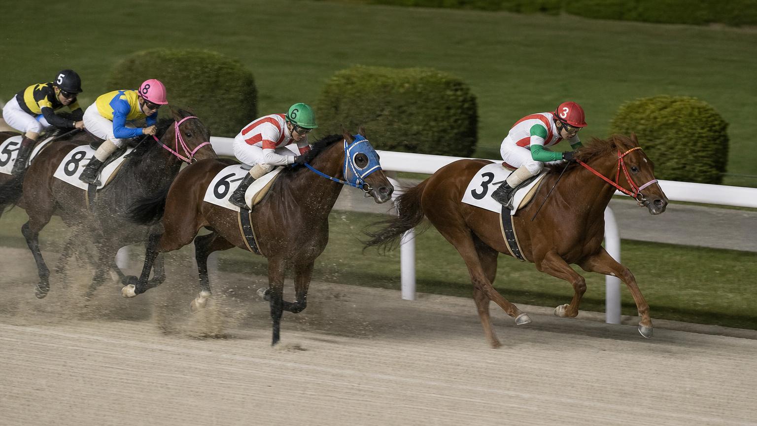 門別競馬場をイメージした砂のコースのゴール前。内ラチ沿いを走る先頭の1頭が後続を離して抜け出している
