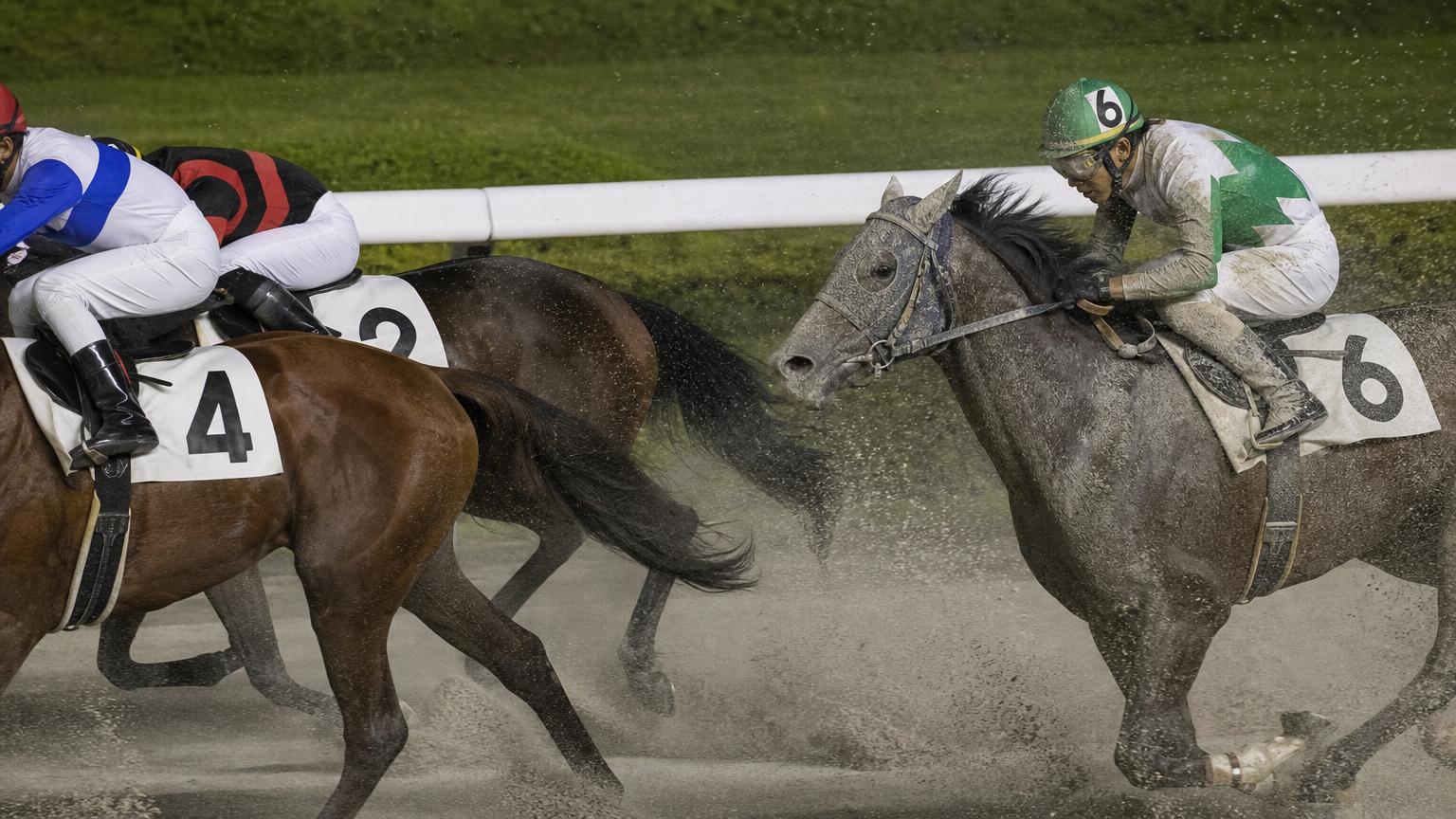 門別競馬場をイメージした砂のコースで、内ラチ沿いを走る最内の馬と騎手が、前を行く馬たちの蹴り上げた砂を顔から浴びている