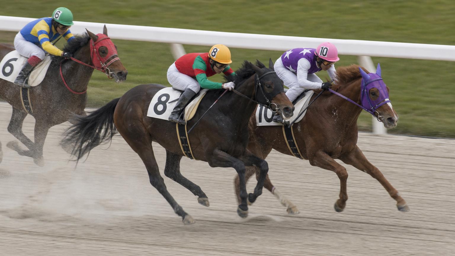金沢競馬場をイメージした砂のコースで、内ラチ沿いを2頭がほぼ並んで走っている。どちらか一方が有利に見えることはない
