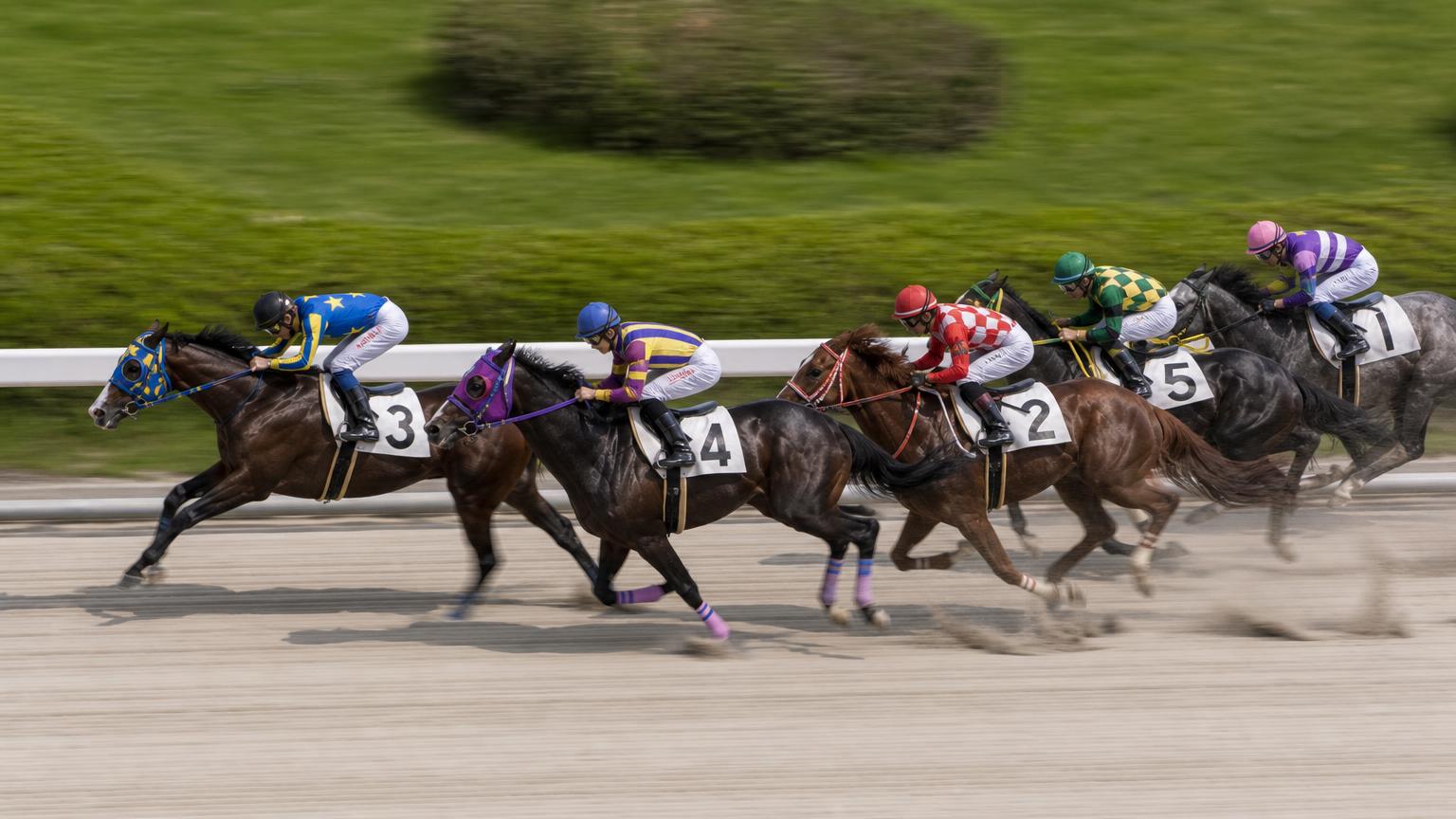 金沢競馬場をイメージした砂のコース。内ラチ沿いに一列で連なる競走馬の一団が、砂を巻き上げながら走っている