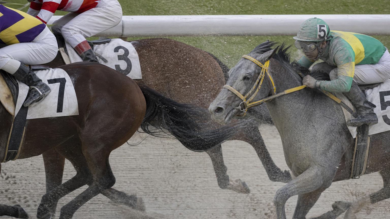 笠松競馬場をイメージした砂のコースで、内ラチ沿いを走る最内の馬と騎手が、前を行く馬たちの蹴り上げた砂を顔から浴びている