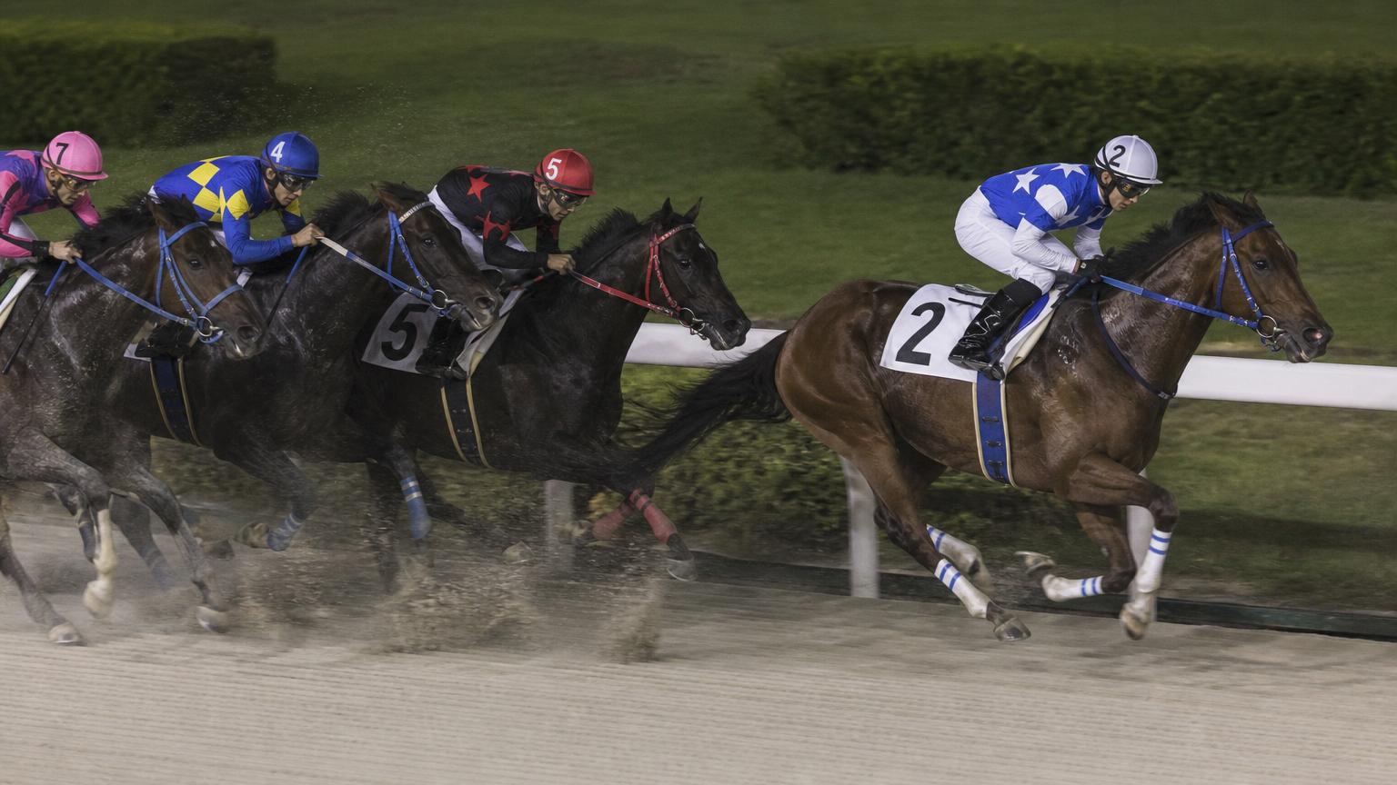 佐賀競馬場をイメージした砂のコースのゴール前。内ラチ沿いを走る先頭の1頭が後続を離して抜け出している
