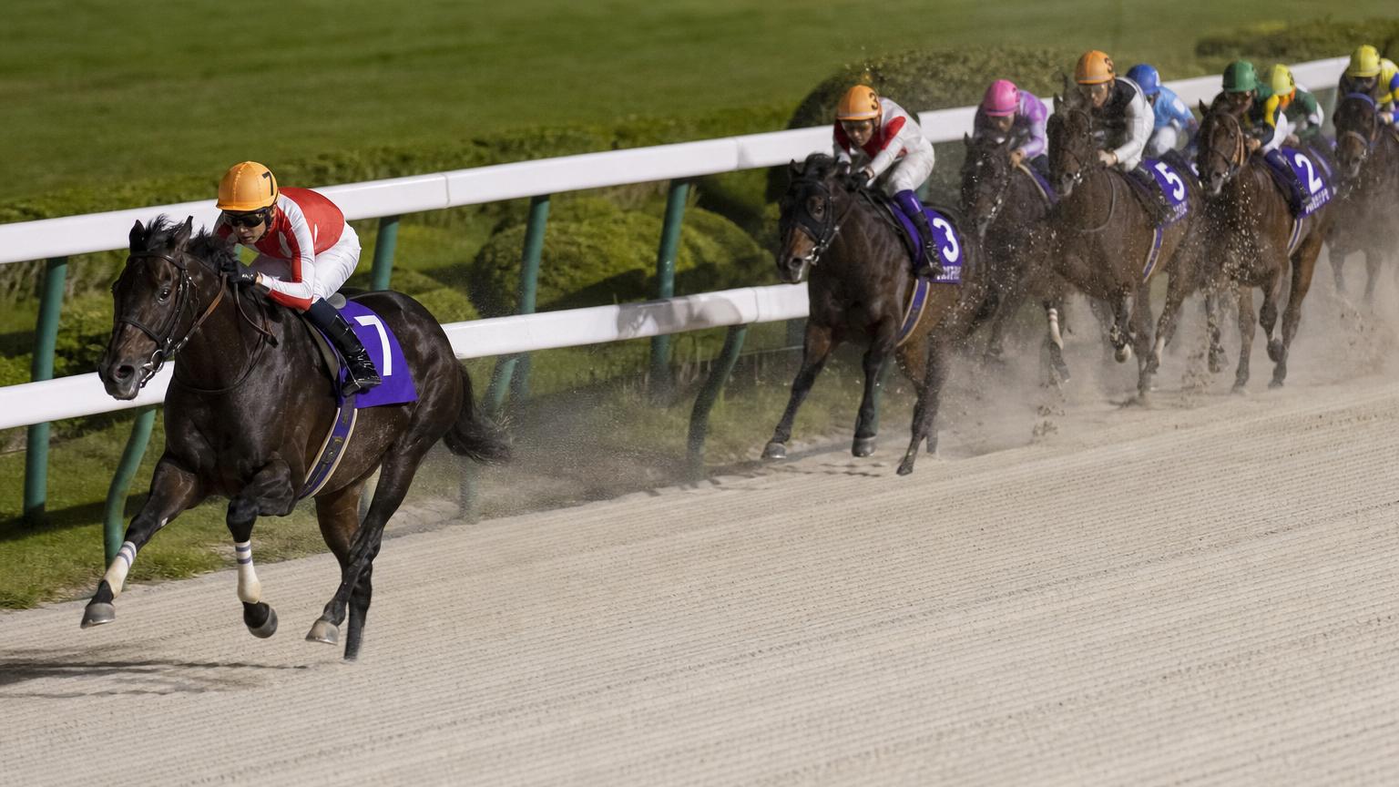 佐賀競馬場をイメージした砂のコースで、内ラチ沿いを単騎で先頭を走る競走馬と騎手。後続の一団は数馬身うしろに固まっている
