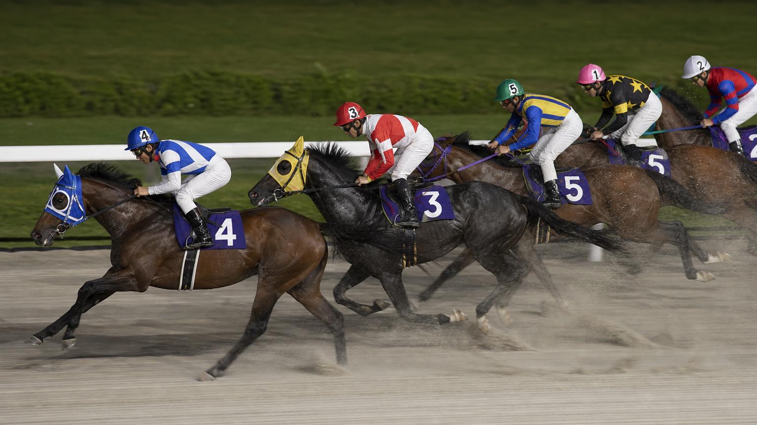 佐賀競馬場をイメージした砂のコース。内ラチ沿いに一列で連なる競走馬の一団が、砂を巻き上げながら走っている