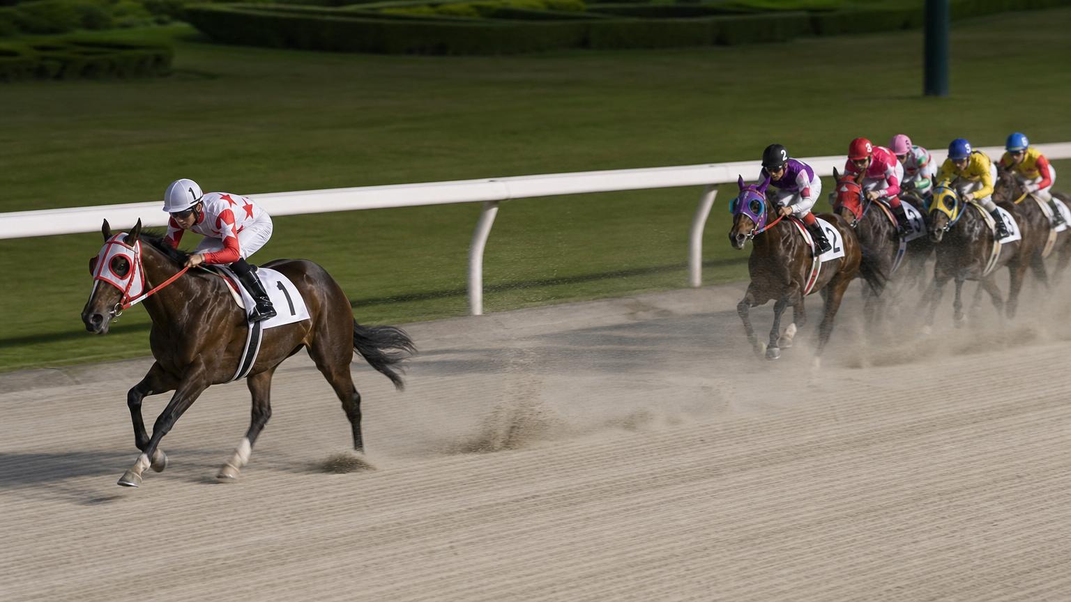 盛岡競馬場をイメージした砂のコースで、内ラチ沿いを単騎で先頭を走る競走馬と騎手。後続の一団は数馬身うしろに固まっている