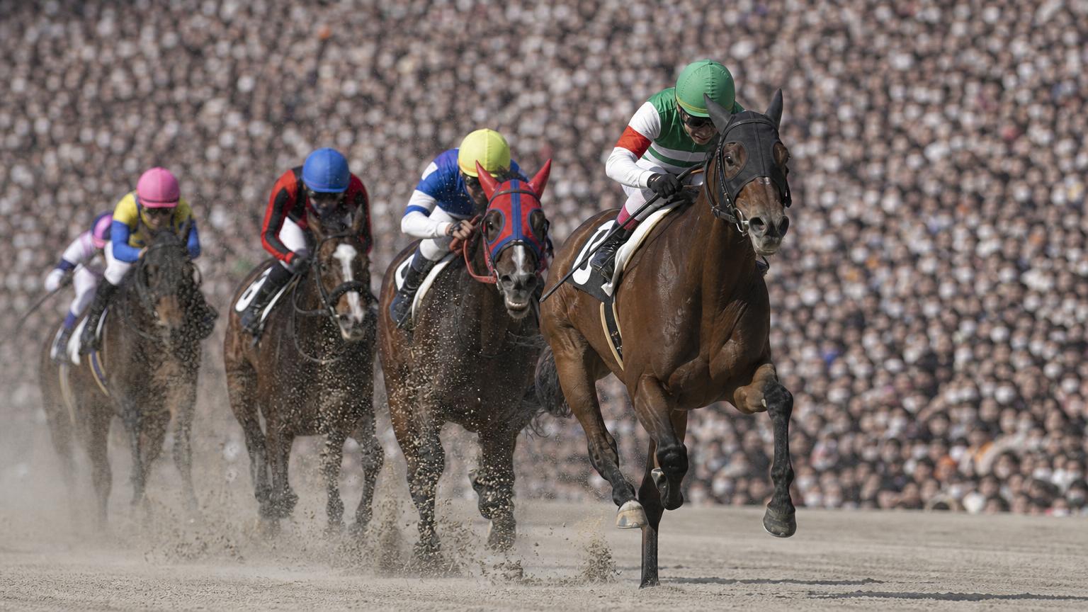 満員の大観衆を背に、中央競馬のダートコースを追い比べる競走馬と騎手たち。砂を蹴立てて一頭が抜け出そうとしている