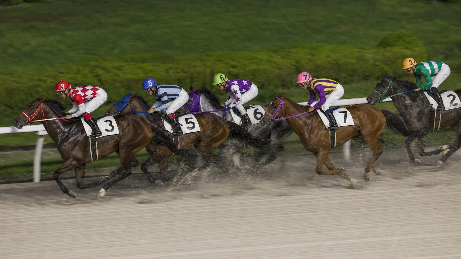 盛岡競馬場をイメージした砂のコース。内ラチ沿いに一列で連なる競走馬の一団が、砂を巻き上げながら走っている