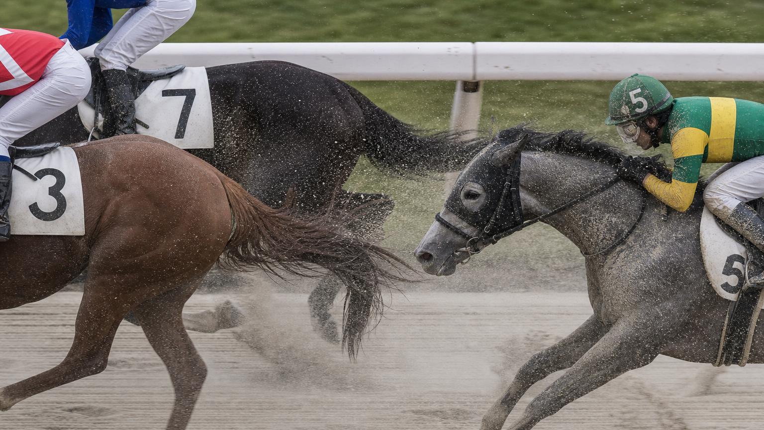 水沢競馬場をイメージした砂のコースで、内ラチ沿いを走る最内の馬と騎手が、前を行く馬たちの蹴り上げた砂を顔から浴びている