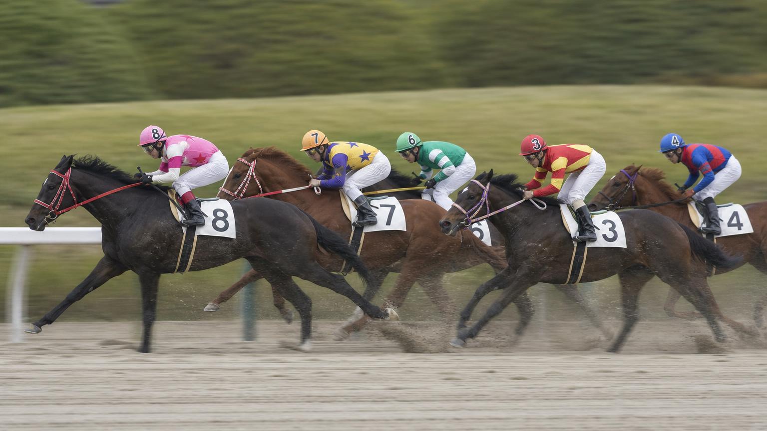 水沢競馬場をイメージした砂のコース。内ラチ沿いに一列で連なる競走馬の一団が、砂を巻き上げながら走っている