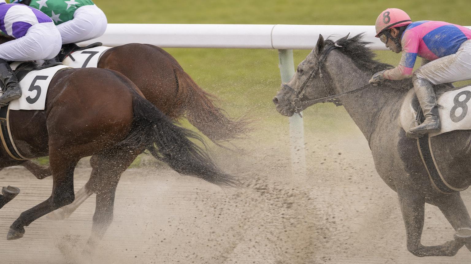 姫路競馬場をイメージした砂のコースで、内ラチ沿いを走る最内の馬と騎手が、前を行く馬たちの蹴り上げた砂を顔から浴びている