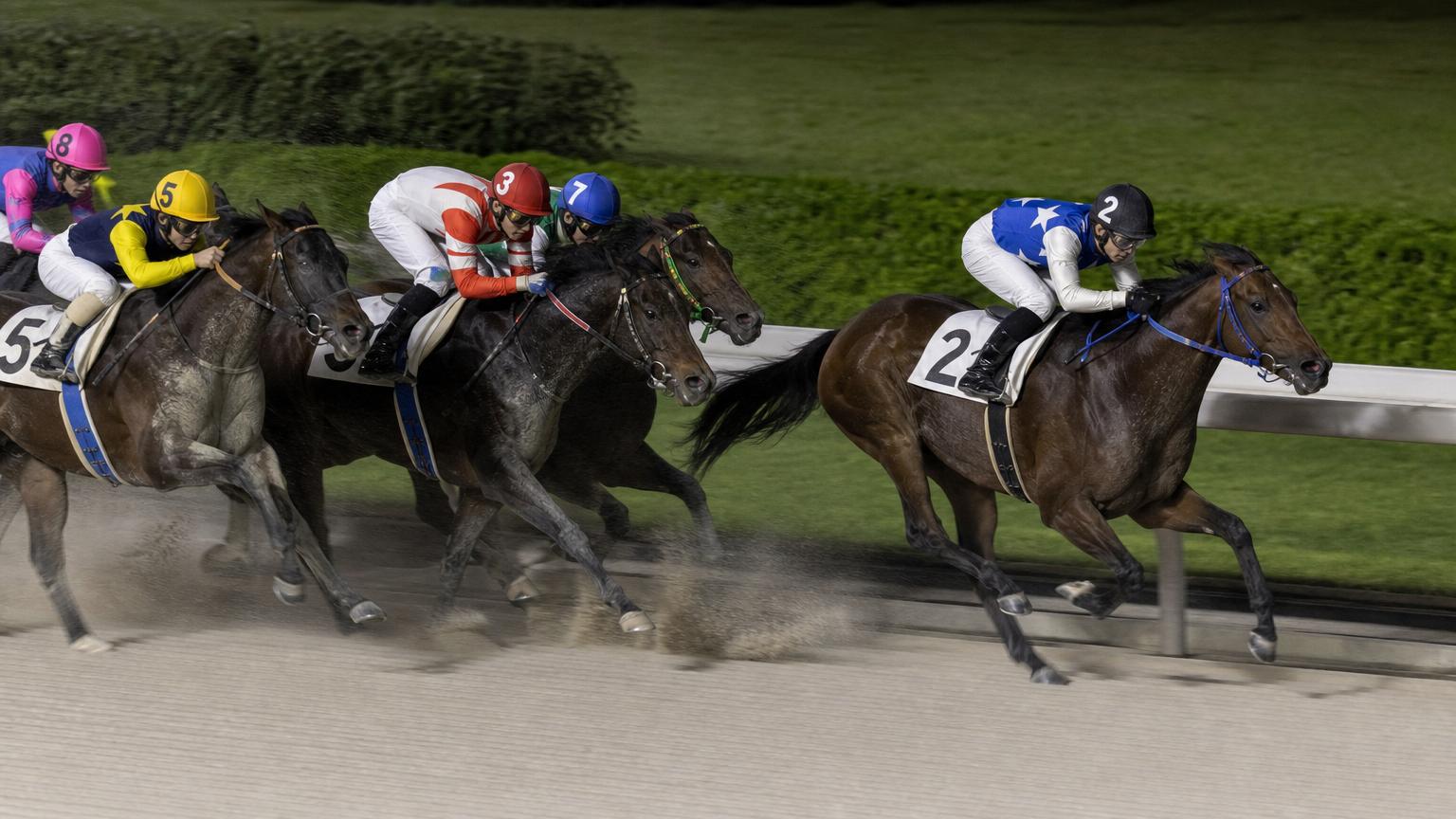 名古屋（弥富）競馬場をイメージした砂のコースのゴール前。内ラチ沿いを走る先頭の1頭が後続を離して抜け出している