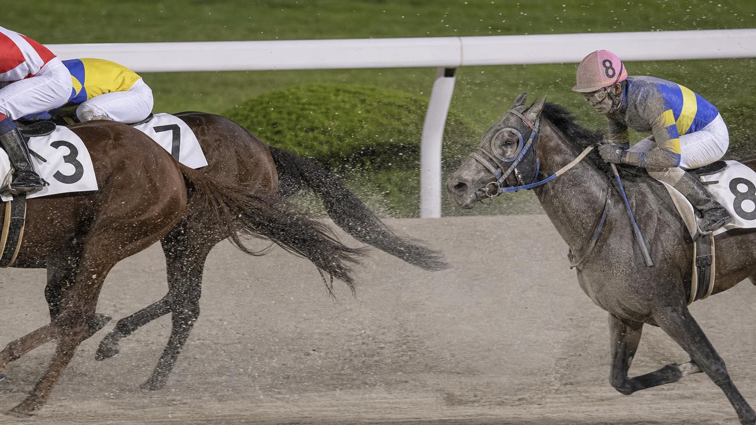 名古屋（弥富）競馬場をイメージした砂のコースで、内ラチ沿いを走る最内の馬と騎手が、前を行く馬たちの蹴り上げた砂を顔から浴びている
