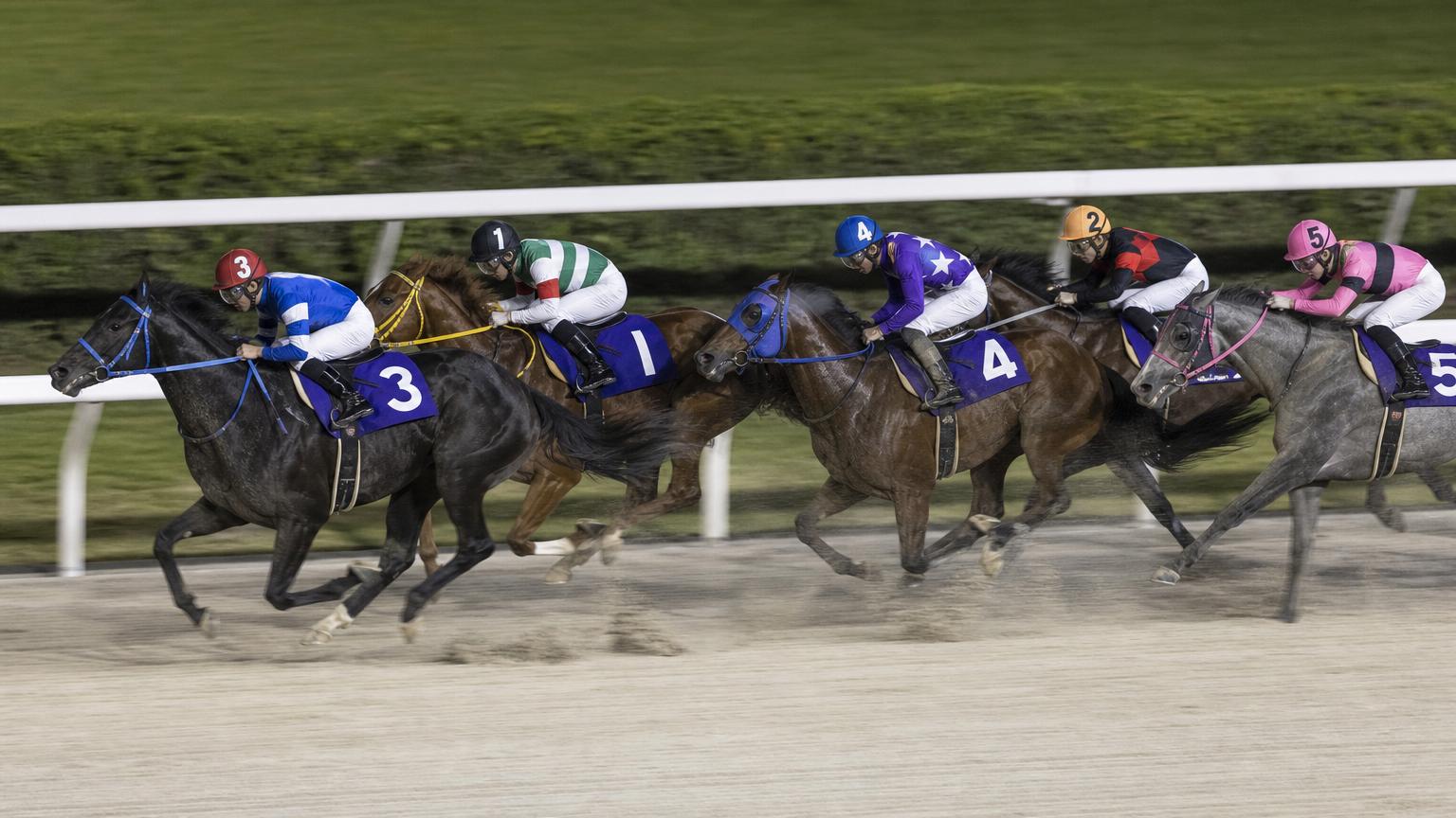 名古屋（弥富）競馬場をイメージした砂のコース。内ラチ沿いに一列で連なる競走馬の一団が、砂を巻き上げながら走っている