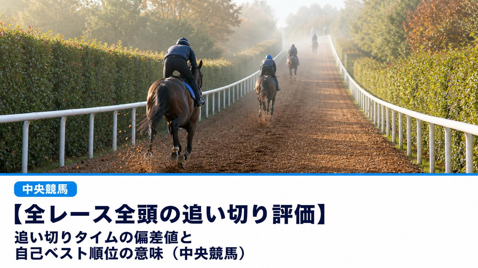 記事タイトル「【全レース全頭の追い切り評価】追い切りタイムの偏差値と自己ベスト順位の意味（中央競馬）」の文字と、朝もやの中、中央競馬のトレーニングセンターの坂路を順に駆け上がっていく競走馬たちを後ろから描いた画像