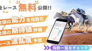 【アルゼンチン共和国杯・みやこステークスを含む全レース無料予想公開】11月9日(日)　全頭の能力評価と推奨穴馬情報│競馬AIナビ