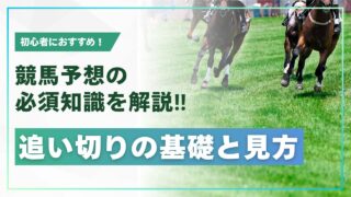 【追い切りの見方を徹底解説】タイムと動きの評価方法を習得し回収率UP！